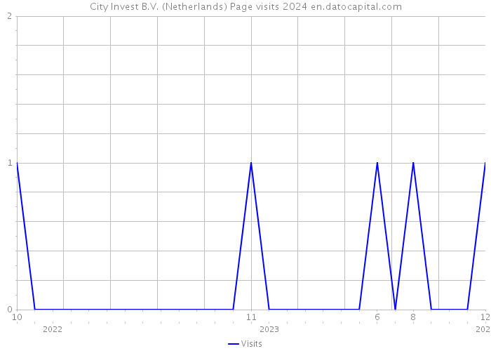 City Invest B.V. (Netherlands) Page visits 2024 