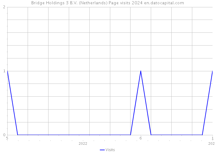 Bridge Holdings 3 B.V. (Netherlands) Page visits 2024 