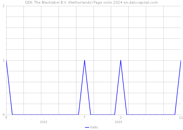 DDK The Blacklabel B.V. (Netherlands) Page visits 2024 