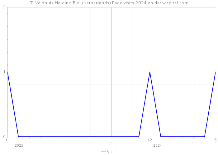 T. Veldhuis Holding B.V. (Netherlands) Page visits 2024 
