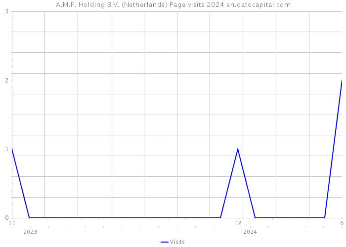 A.M.F. Holding B.V. (Netherlands) Page visits 2024 