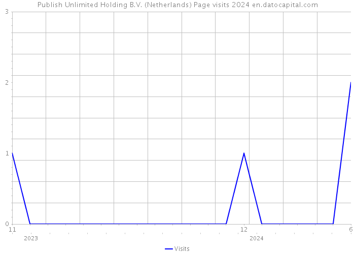 Publish Unlimited Holding B.V. (Netherlands) Page visits 2024 