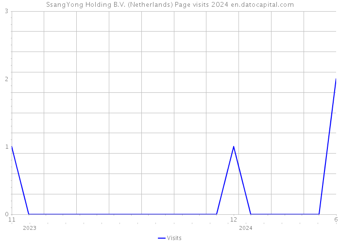 SsangYong Holding B.V. (Netherlands) Page visits 2024 