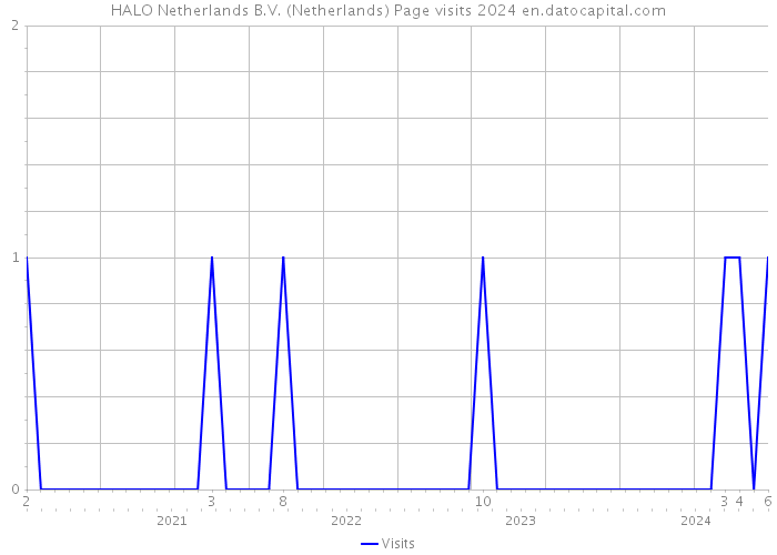 HALO Netherlands B.V. (Netherlands) Page visits 2024 