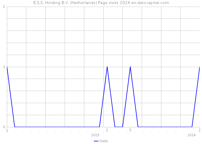 E.S.S. Holding B.V. (Netherlands) Page visits 2024 