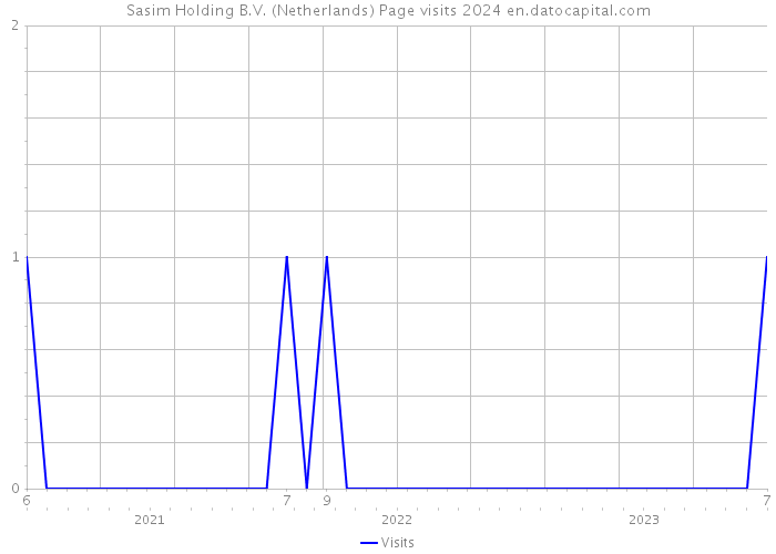 Sasim Holding B.V. (Netherlands) Page visits 2024 
