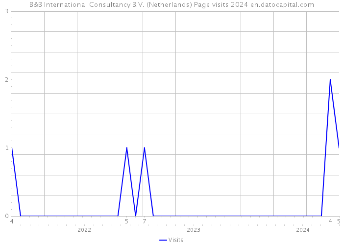 B&B International Consultancy B.V. (Netherlands) Page visits 2024 