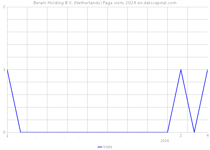 Berani Holding B.V. (Netherlands) Page visits 2024 
