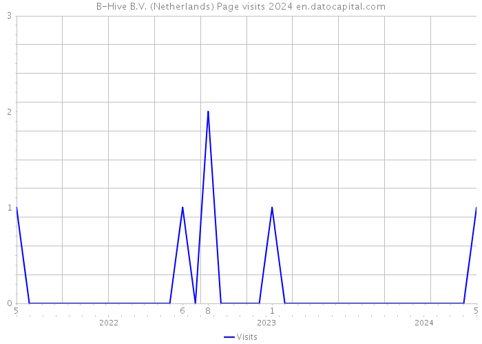 B-Hive B.V. (Netherlands) Page visits 2024 