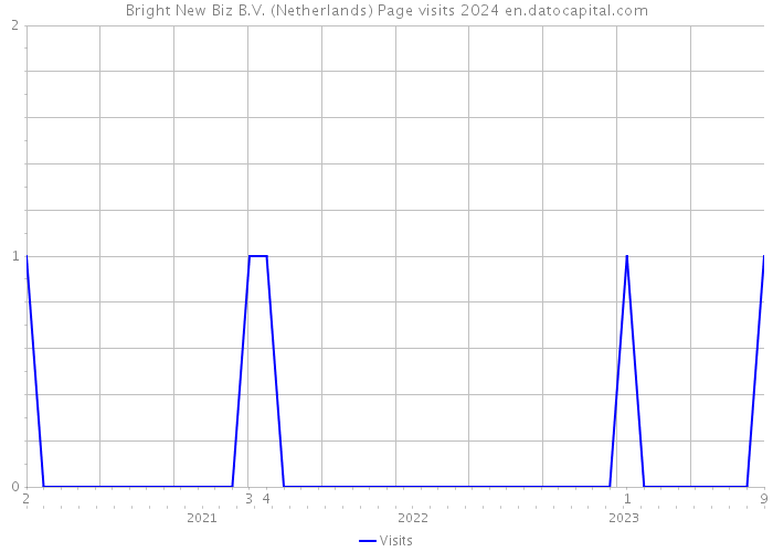 Bright New Biz B.V. (Netherlands) Page visits 2024 