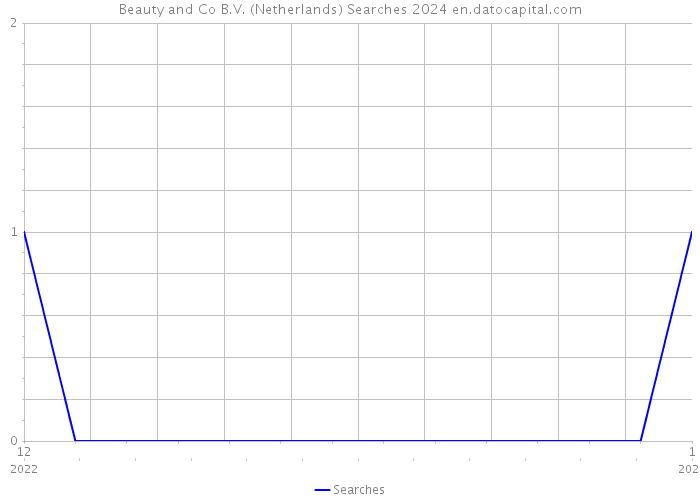 Beauty and Co B.V. (Netherlands) Searches 2024 