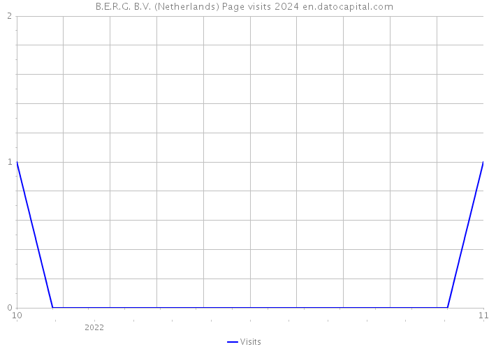 B.E.R.G. B.V. (Netherlands) Page visits 2024 