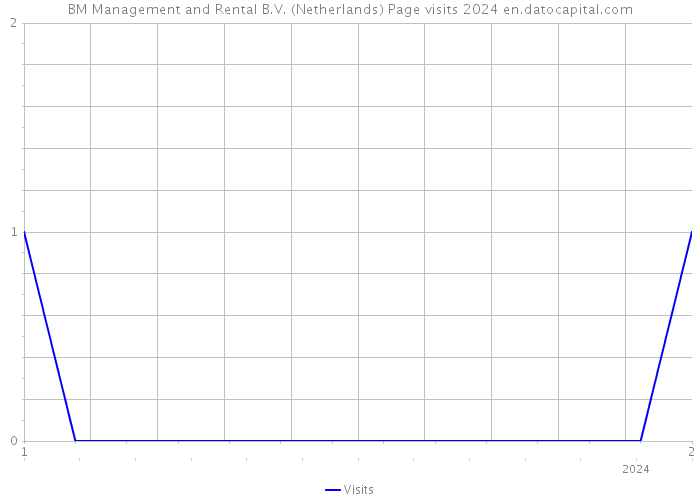 BM Management and Rental B.V. (Netherlands) Page visits 2024 