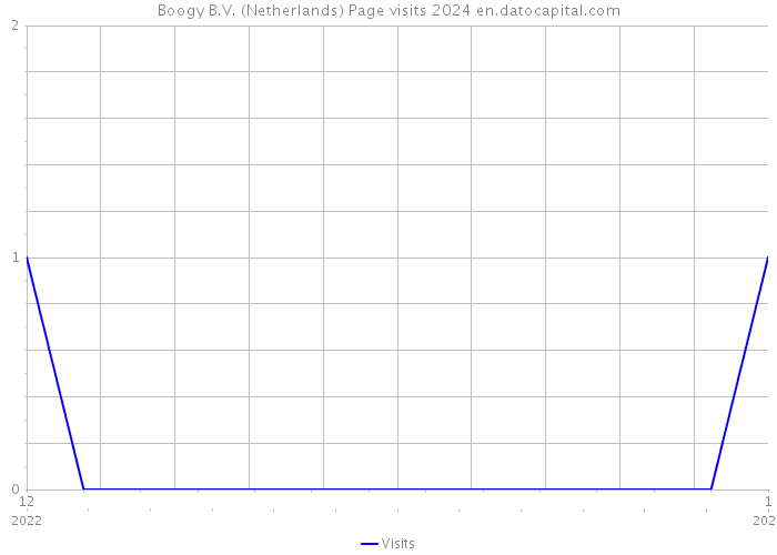 Boogy B.V. (Netherlands) Page visits 2024 