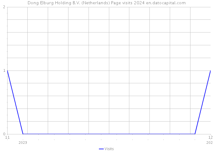 Dong Elburg Holding B.V. (Netherlands) Page visits 2024 
