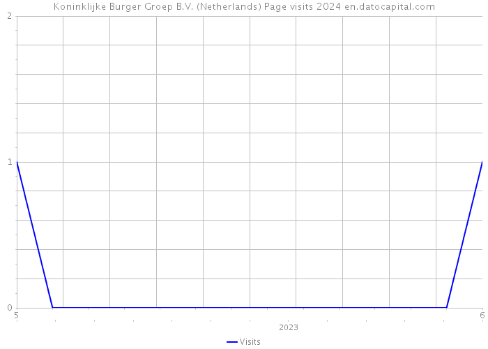Koninklijke Burger Groep B.V. (Netherlands) Page visits 2024 