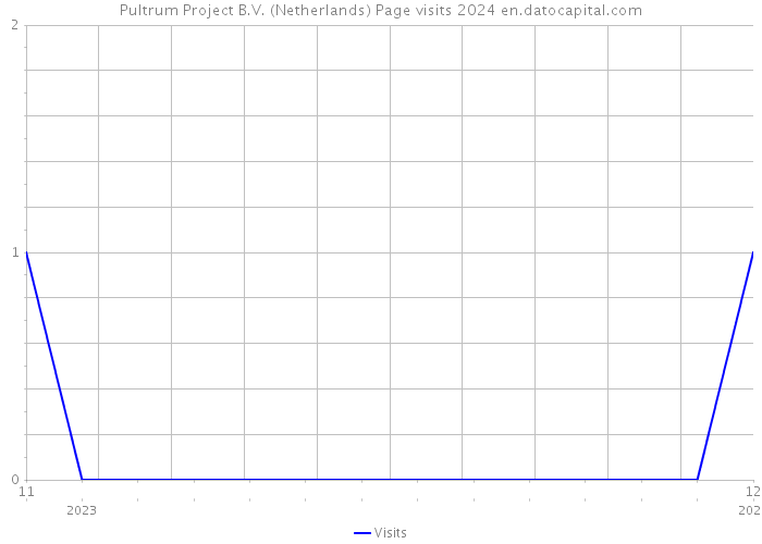 Pultrum Project B.V. (Netherlands) Page visits 2024 