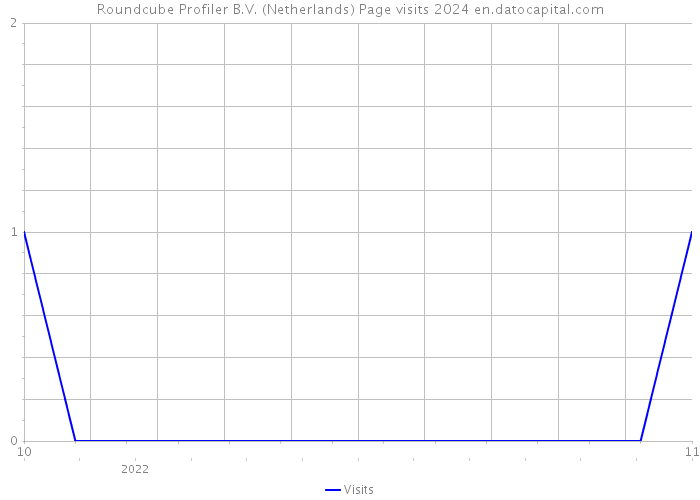 Roundcube Profiler B.V. (Netherlands) Page visits 2024 