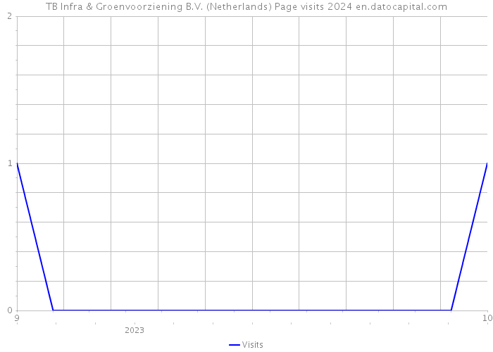 TB Infra & Groenvoorziening B.V. (Netherlands) Page visits 2024 