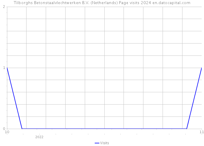 Tilborghs Betonstaalvlechtwerken B.V. (Netherlands) Page visits 2024 