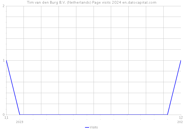 Tim van den Burg B.V. (Netherlands) Page visits 2024 