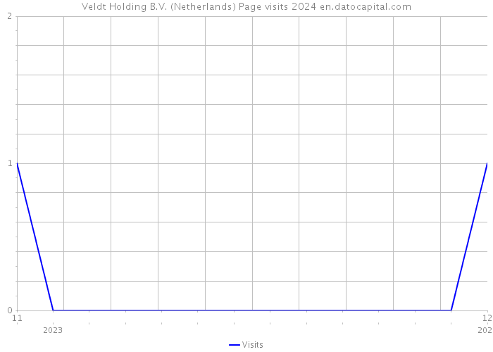 Veldt Holding B.V. (Netherlands) Page visits 2024 