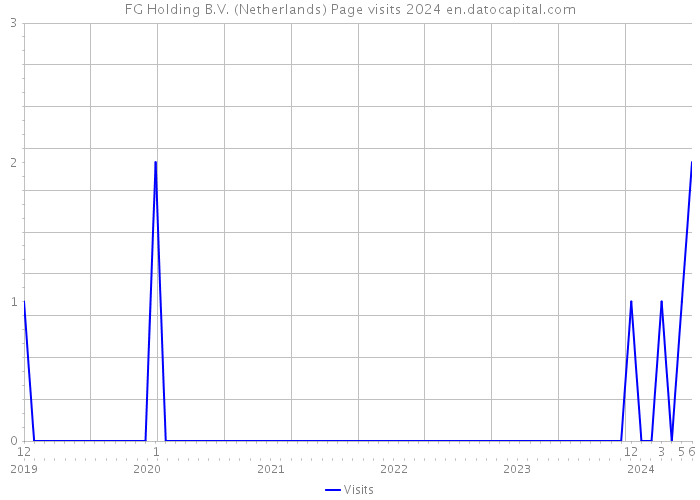 FG Holding B.V. (Netherlands) Page visits 2024 