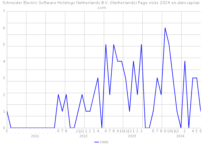 Schneider Electric Software Holdings Netherlands B.V. (Netherlands) Page visits 2024 