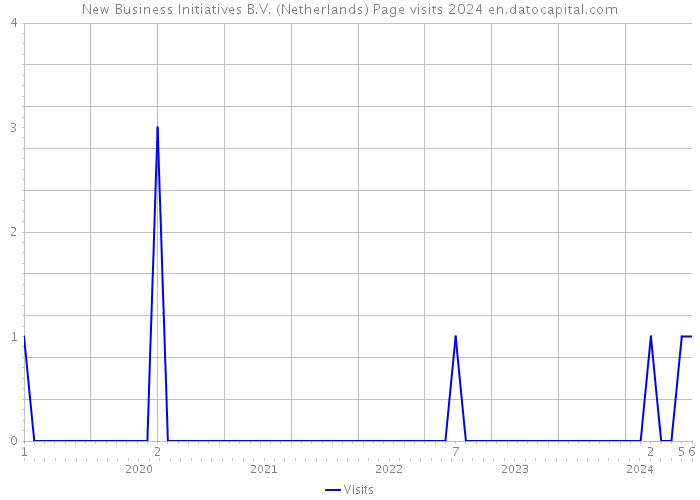 New Business Initiatives B.V. (Netherlands) Page visits 2024 