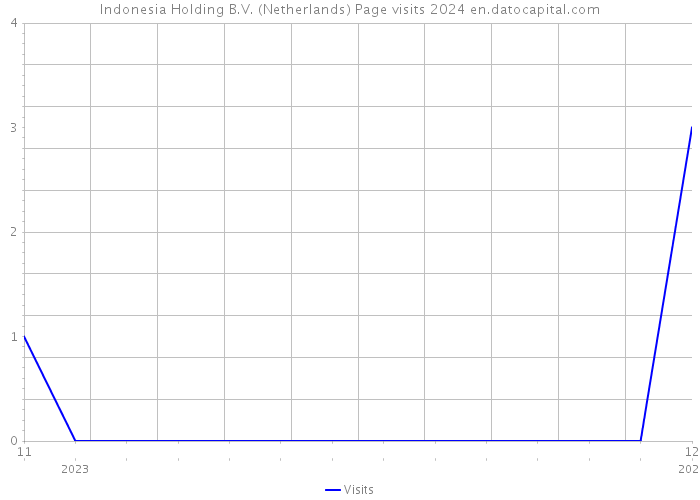 Indonesia Holding B.V. (Netherlands) Page visits 2024 
