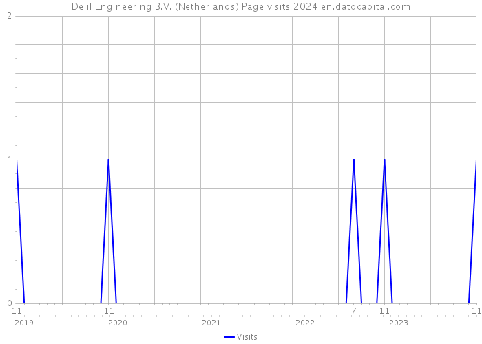 Delil Engineering B.V. (Netherlands) Page visits 2024 
