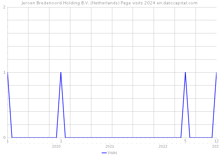 Jeroen Bredenoord Holding B.V. (Netherlands) Page visits 2024 