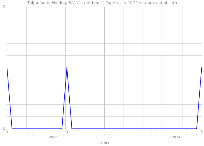 Talpa Radio Holding B.V. (Netherlands) Page visits 2024 