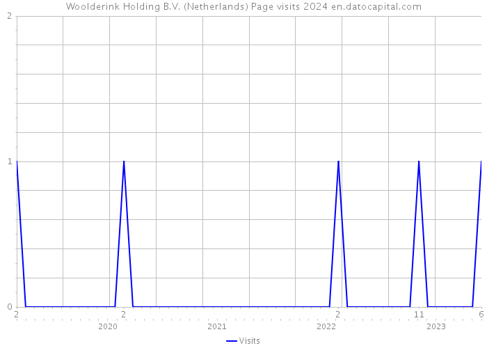 Woolderink Holding B.V. (Netherlands) Page visits 2024 