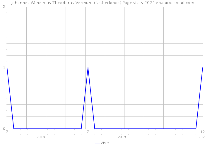 Johannes Wilhelmus Theodorus Vermunt (Netherlands) Page visits 2024 