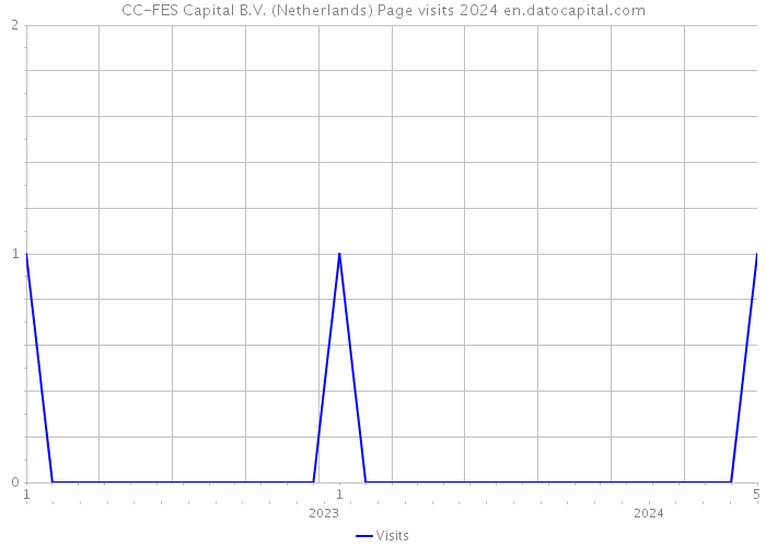 CC-FES Capital B.V. (Netherlands) Page visits 2024 