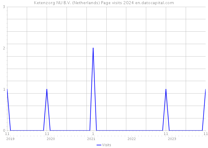 Ketenzorg NU B.V. (Netherlands) Page visits 2024 