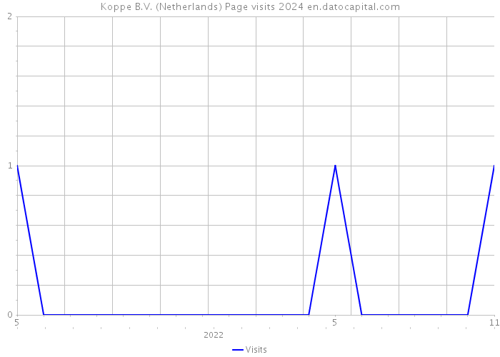 Koppe B.V. (Netherlands) Page visits 2024 