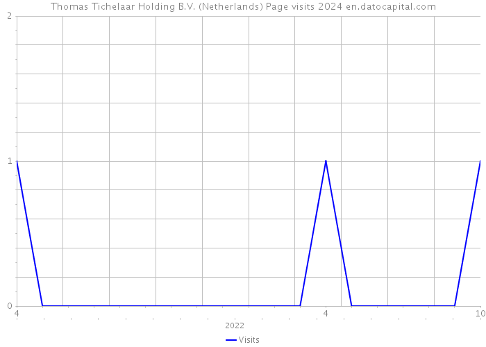 Thomas Tichelaar Holding B.V. (Netherlands) Page visits 2024 