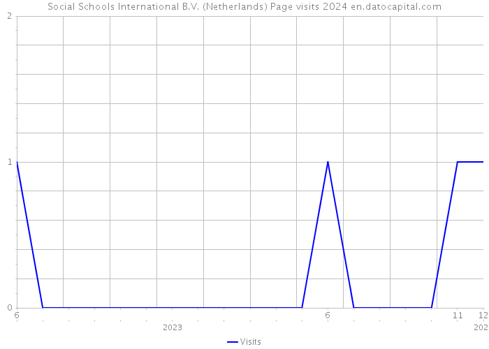 Social Schools International B.V. (Netherlands) Page visits 2024 
