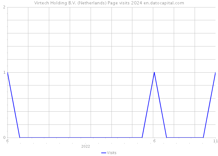 Virtech Holding B.V. (Netherlands) Page visits 2024 