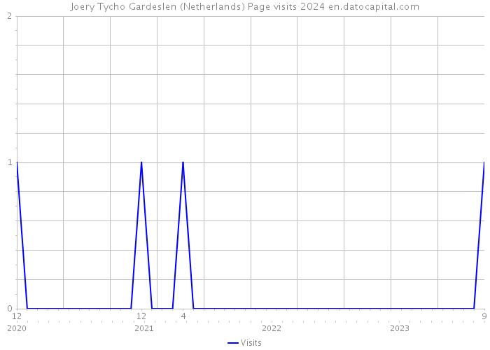 Joery Tycho Gardeslen (Netherlands) Page visits 2024 