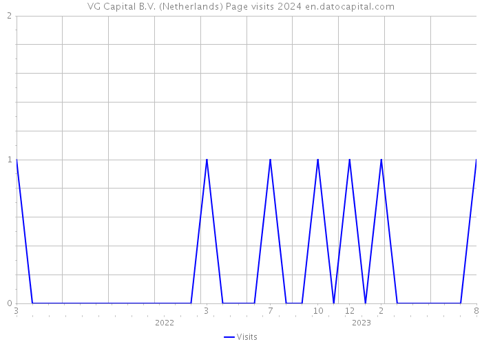 VG Capital B.V. (Netherlands) Page visits 2024 