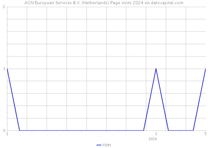 ACN European Services B.V. (Netherlands) Page visits 2024 