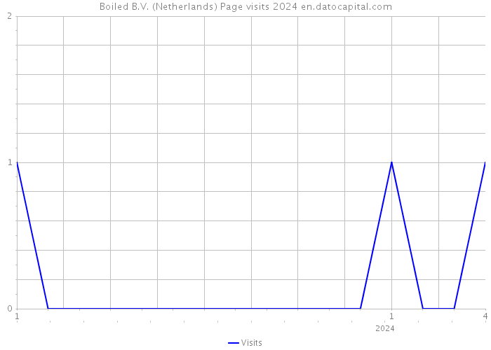 Boiled B.V. (Netherlands) Page visits 2024 