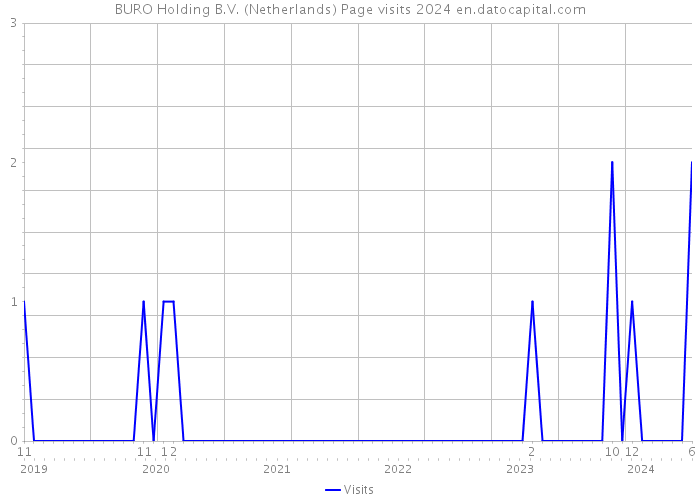BURO Holding B.V. (Netherlands) Page visits 2024 