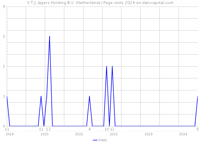 V.T.J. Jägers Holding B.V. (Netherlands) Page visits 2024 