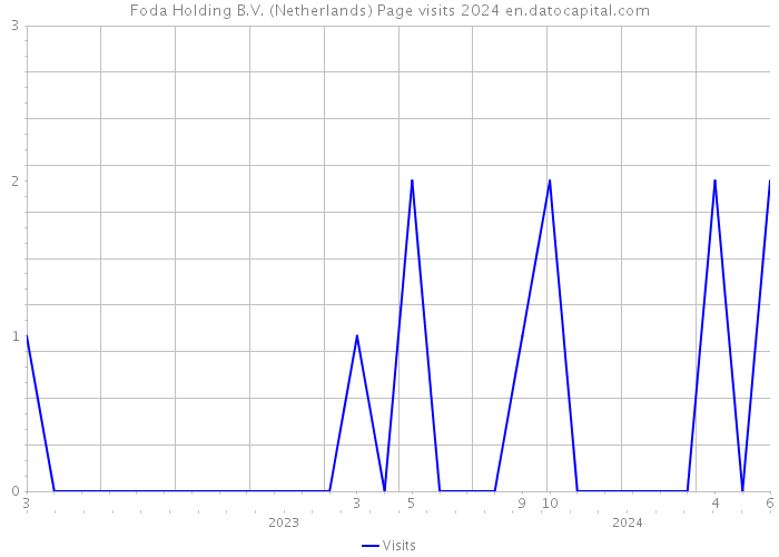Foda Holding B.V. (Netherlands) Page visits 2024 