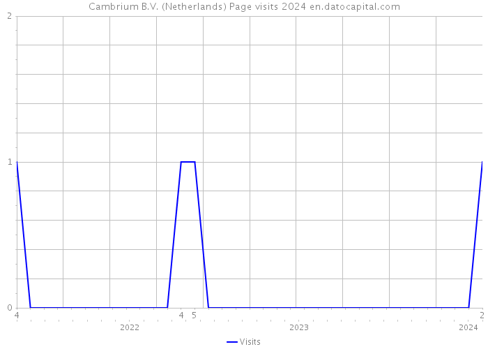 Cambrium B.V. (Netherlands) Page visits 2024 