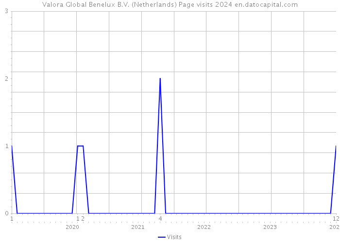 Valora Global Benelux B.V. (Netherlands) Page visits 2024 